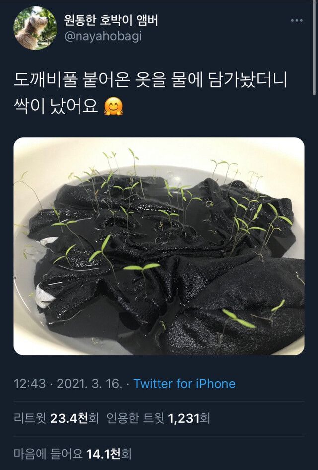 c3c805daaa81ab8c5e3f8acd58c5c86f_854781.jpg