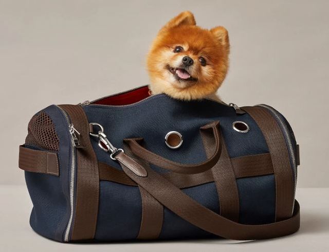 0004962607_001_20220511220201059.jpg?type=w647