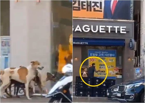 0000294583_001_20220404163901657.jpg?type=w647