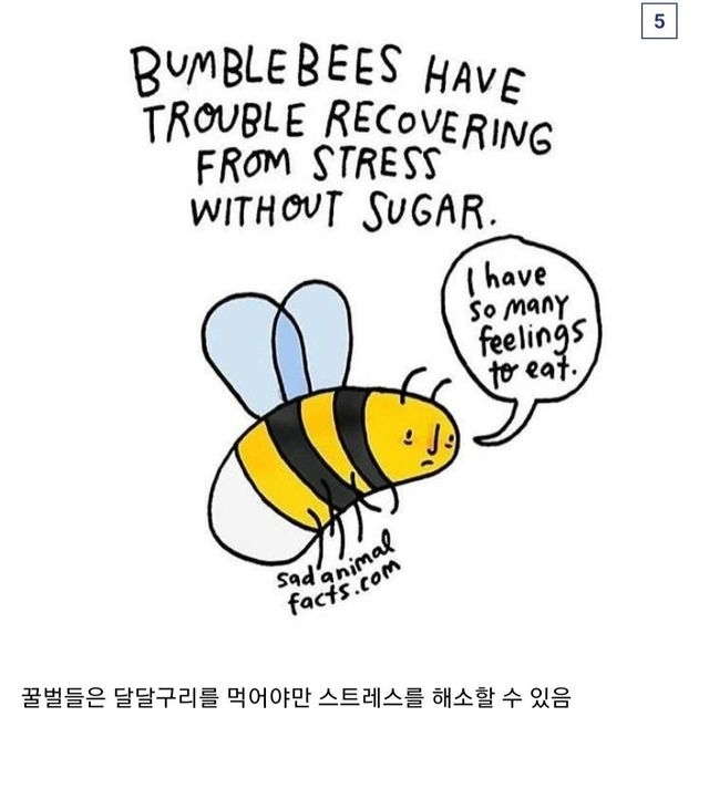 7c09c9ecaaf0e67c0c2c2223b036f9ac_872152.jpg