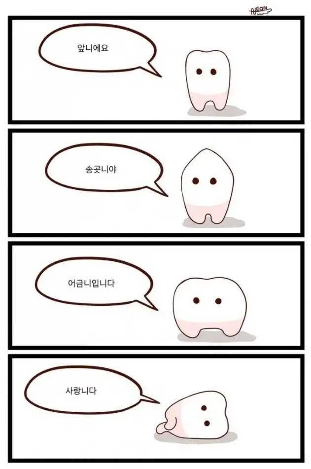 (짤) 치아들의 자기소개