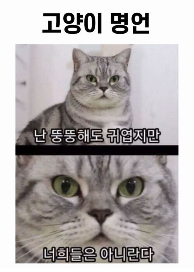 39d784b3ac14e4343229da1c2fbf0a78_671130.jpg