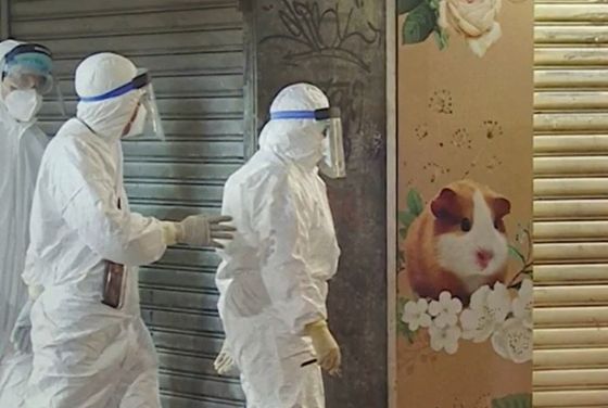 0000288255_001_20220130132701713.jpg?type=w647