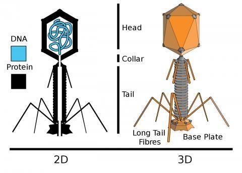 gifsf.com_002.jpg