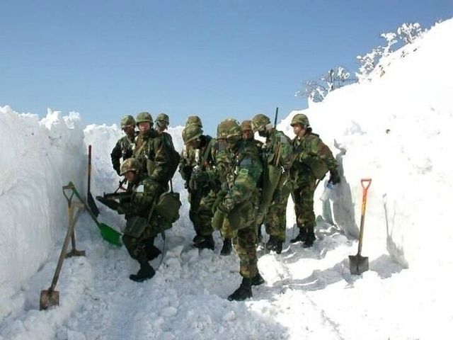 다운로드 (1).jpg 교육공무원 호봉 재획정(군대 호봉 삭감)에 분노를 느낀다...