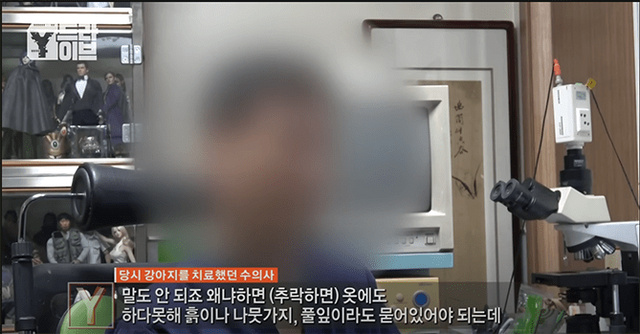 화면 캡처 2024-05-12 095418.png [혐오] 강아지 눈 파열, 야탑 학대남