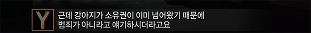 화면 캡처 2024-05-12 095920.png [혐오] 강아지 눈 파열, 야탑 학대남