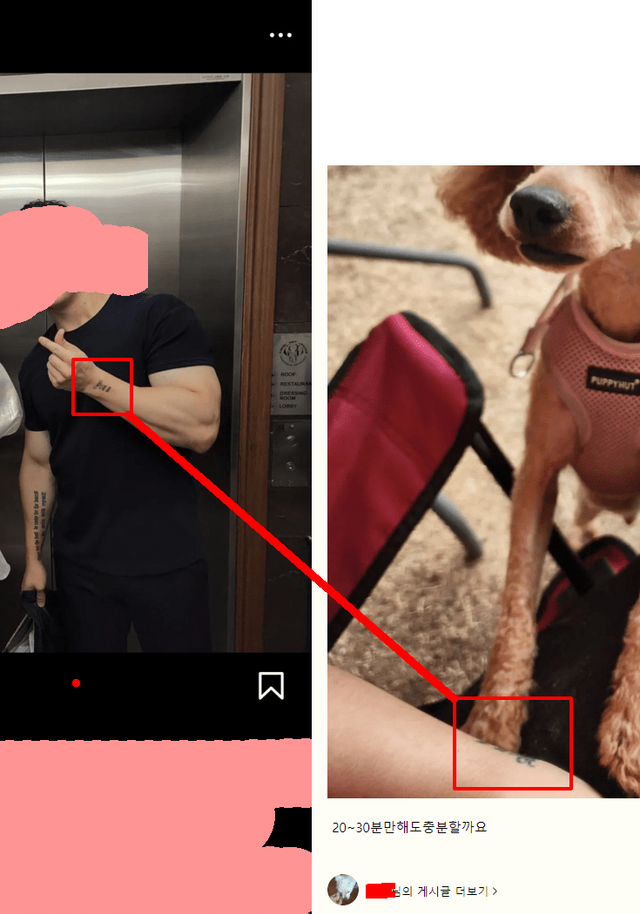 KakaoTalk_20240510_205424504.png [혐오] 강아지 눈 파열, 야탑 학대남