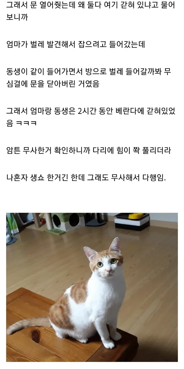 e5b1aaf6-0c6b-4983-8a82-049896206de1_1.webp?area=BODY&amp;requestKey=i7aOh15u