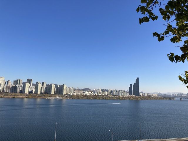 수능 성적표 나온 날이라 한강 감