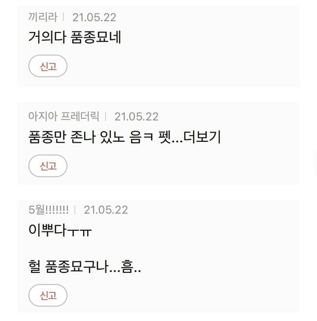 품종묘 키우는 연예인에게 뿔난 여초카페