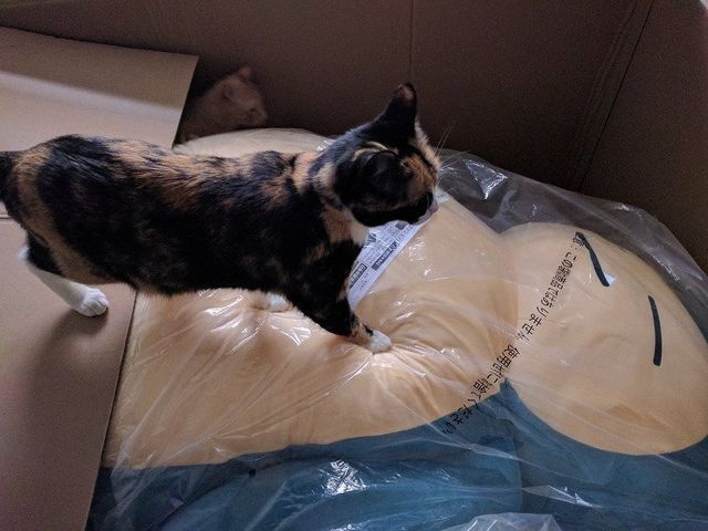 3.jpg 거대 잠만보 인형 후기.jpg