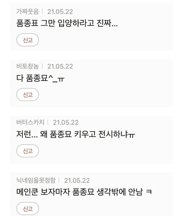 품종묘 키우는 연예인에게 뿔난 여초카페