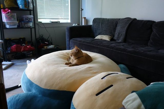 6.jpg 거대 잠만보 인형 후기.jpg