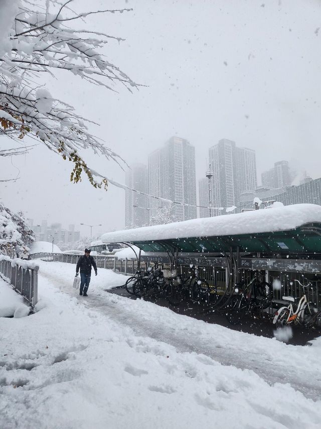 20241128_073309.jpg 7시 42분 수원 폭설 현황