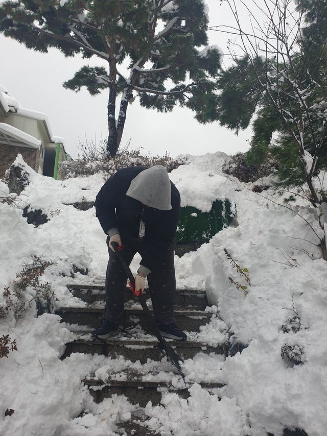 20241128_092312.jpg 오늘 눈이 ㅈㄴ 와서 눈을 치웠습니다.(중3)