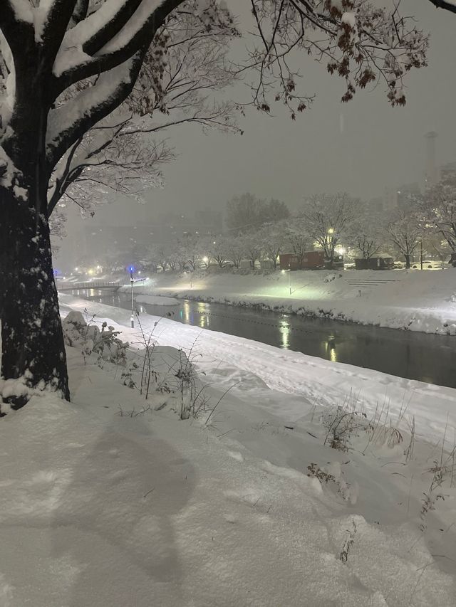 직접찍음 ) 실시간 안산.jpg