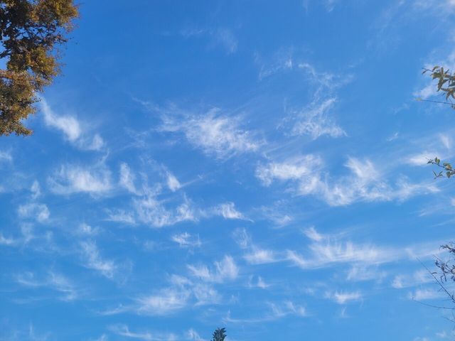 오늘 지금 창원 구름 이뻐서 찍어봄