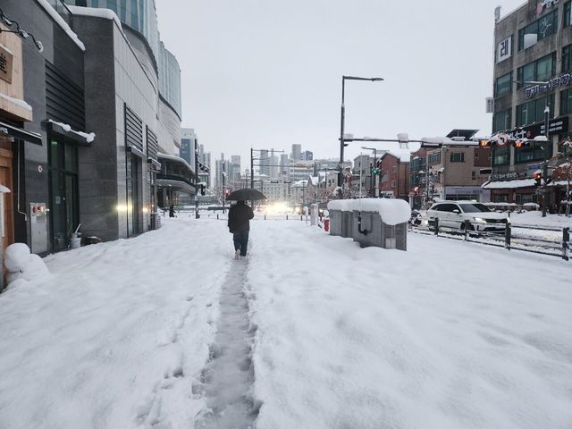 20241128_072642.jpg 7시 42분 수원 폭설 현황