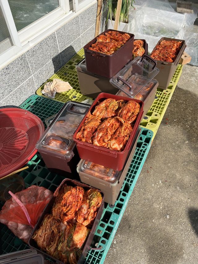 IMG_6574.jpeg 수능 끝난 고3 김장하고 왔습니다.