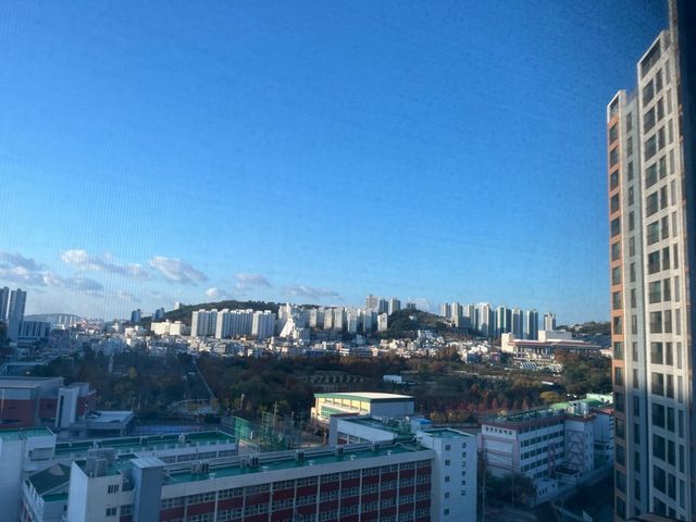 1732749275646.jpg 서울경기가 눈으로 개박살난 와중에 부산 날씨 근황.JPG