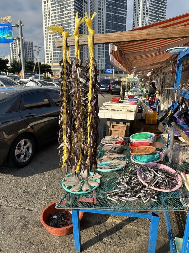 속초 양미리축제 다녀왔습니다