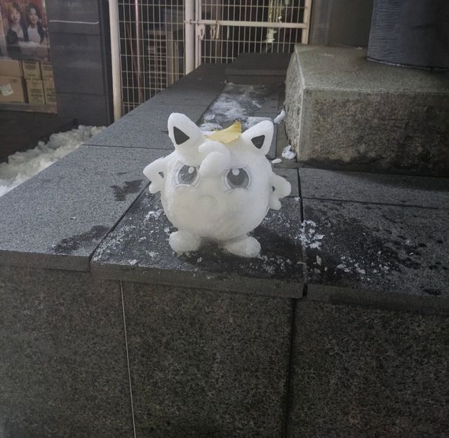 오늘자 눈사람 근황