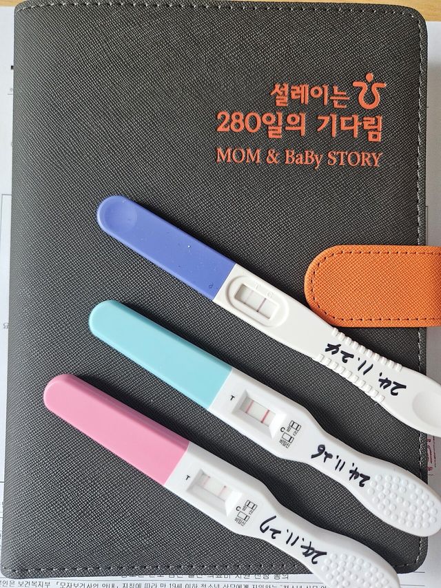 1000045325.jpg 눈 내리는날 애국추 구걸