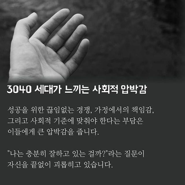 17325445972824.jpg