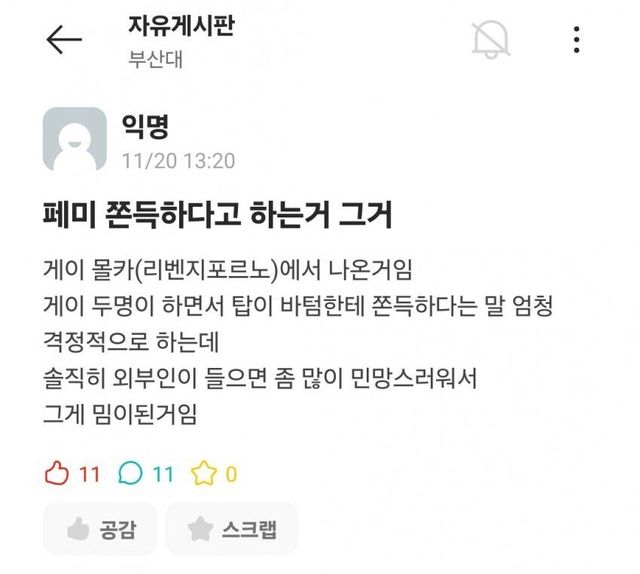 1732171806.jpg 페미가 쓰는 단어
