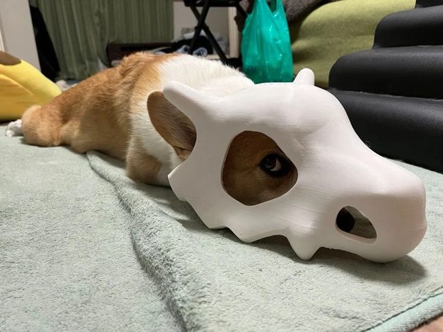 IMG_5597.webp.ren.jpg 누워있는 탕구리