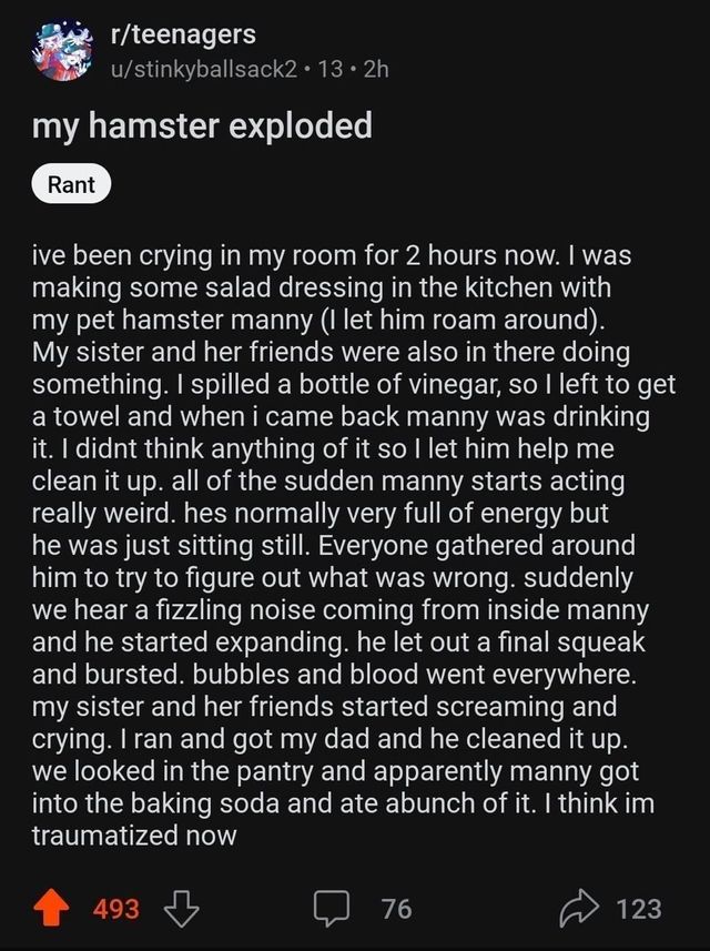 image.jpeg 내 햄스터가 폭발했다..jpg