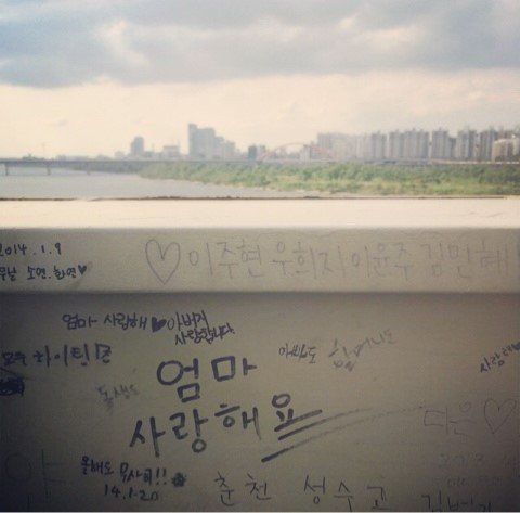 IMG_3688.jpeg 마포대교에 갔으나 죽지 못한 이유 .jpg