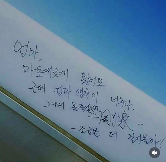 IMG_3686.jpeg 마포대교에 갔으나 죽지 못한 이유 .jpg