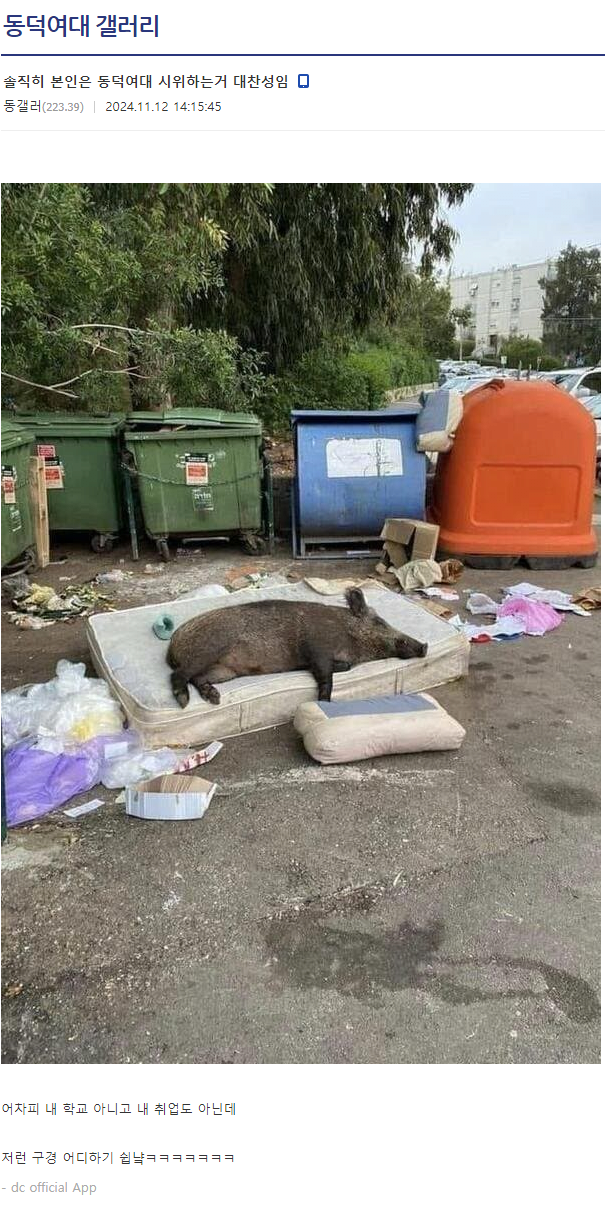 image.png 동덕여대 사태를 보는 디씨인의 속마음 ㅋㅋㅋㅋ.dcinside