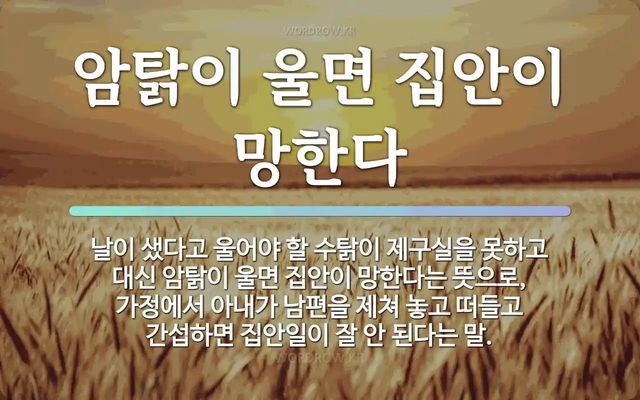 페미가 알려준 단 하나의 가르침