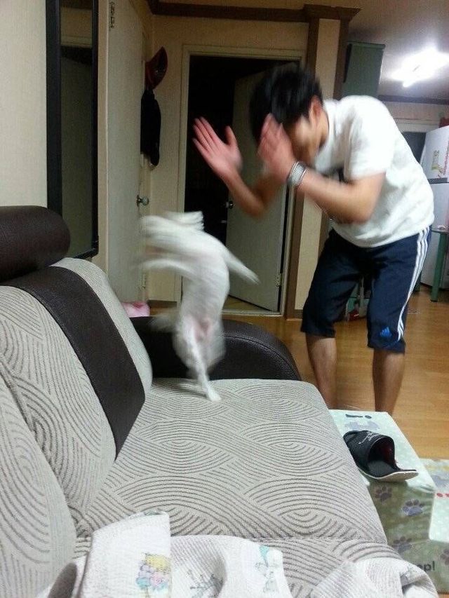 저는 동덕여대 시위 적극 응원합니다