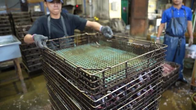 7cec9e2cf5d518986abce895478176659545