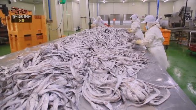 78f3da36e2f206a26d81f6e44685756456