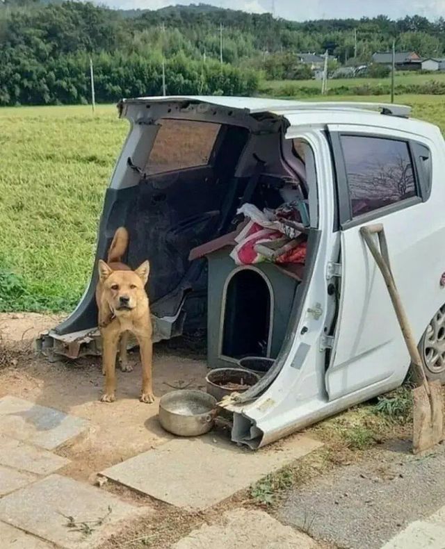 e9da76c4d1e4fa4ae8361725390105ce.jpg 차박 카페 강퇴짤.jpg