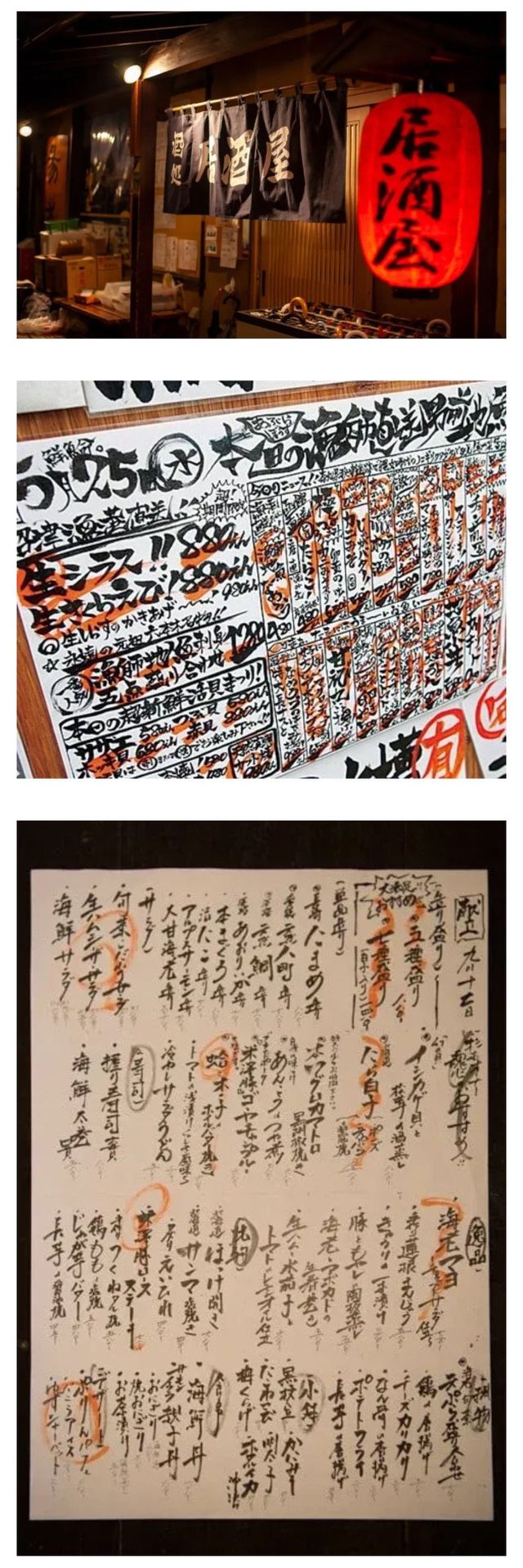 IMG_9259.jpeg 정보)