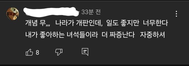 오늘자 여행 유튜버 영상 댓글 근황.jpg