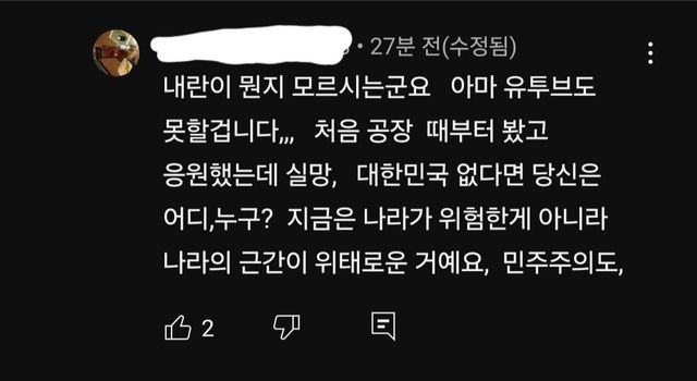 오늘자 여행 유튜버 영상 댓글 근황.jpg