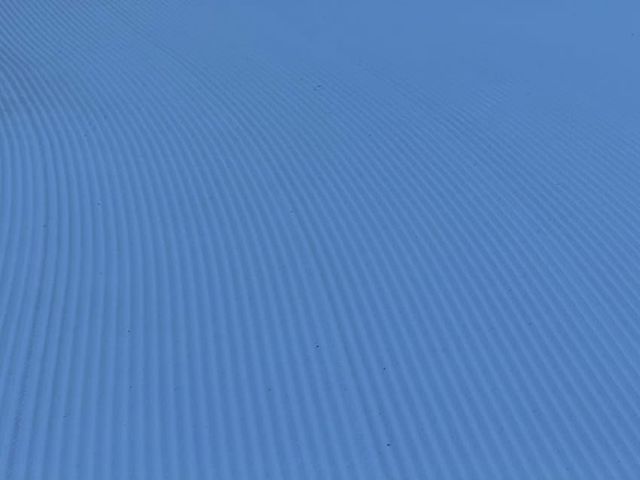 17343622825954.jpg