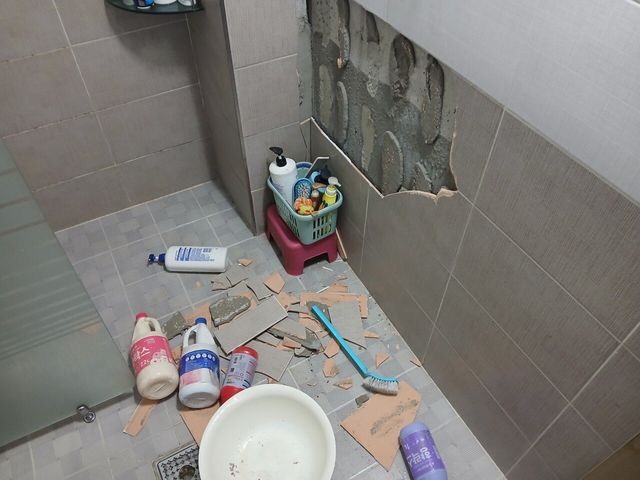 우리집 화장실 근황