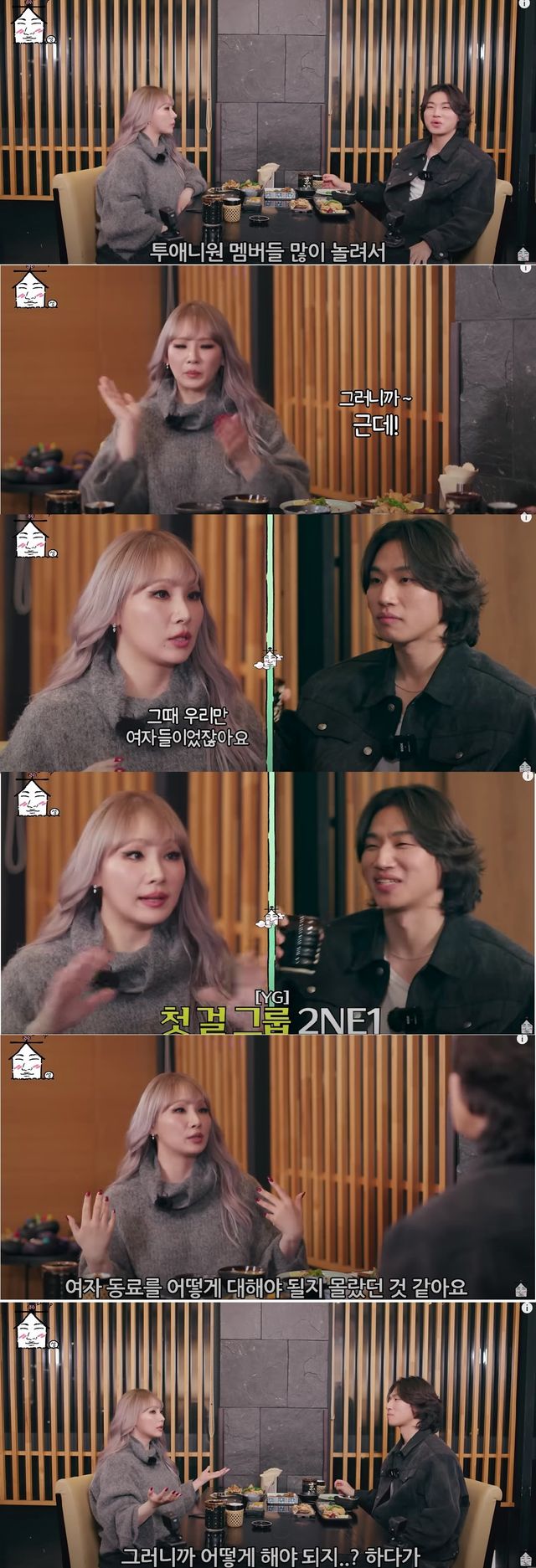 1.jpg [집대성] 빅뱅 멤버들이 놀려서 화장실가서 한번씩은 다 울었다는 2ne1 멤버들