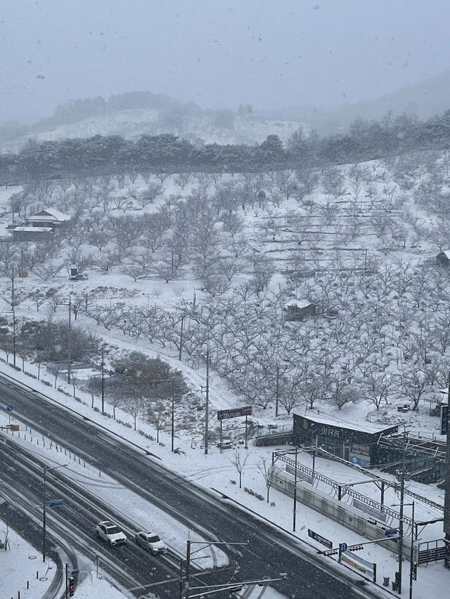 하이얀 설경<YONHAP NO-1018>