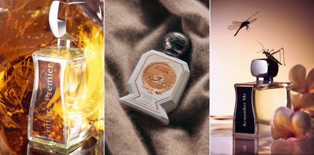 니치향수 불리 조보이