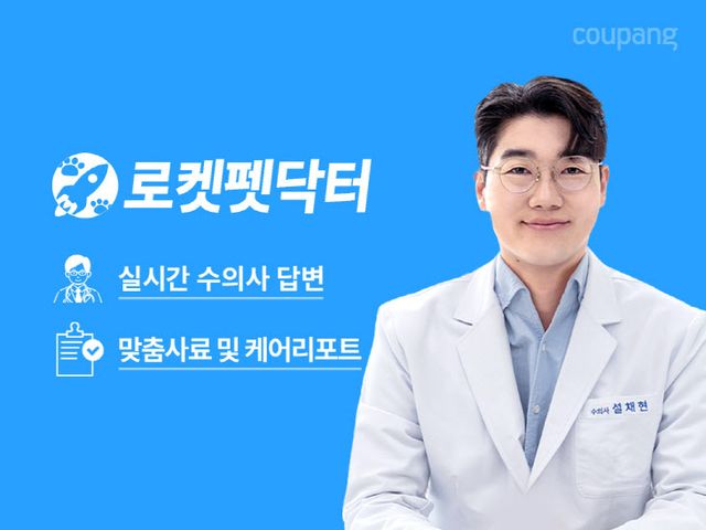 쿠팡, 반려동물 관련 수의사 답변 서비스 ‘로켓펫닥터’ 론칭