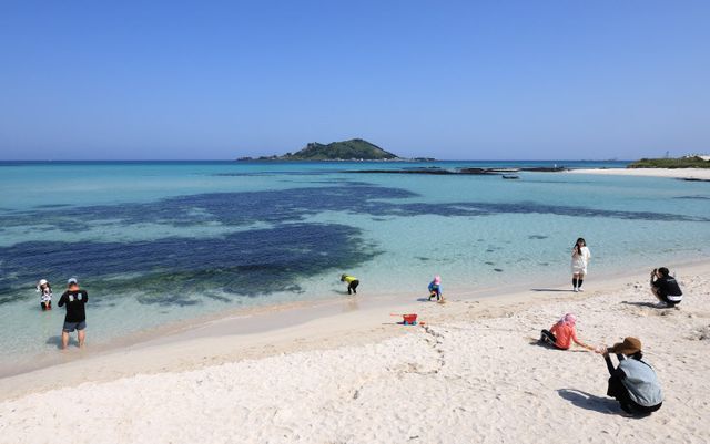 벌써 여름의 문턱